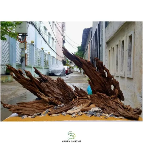 Lũa San Đá Trang Trí Bể Thủy Sinh - Miếng Nhiều Kích Thước Tự Nhiên Đẹp, Hình Dáng Độc Đáo Cho Bể Cá Cảnh