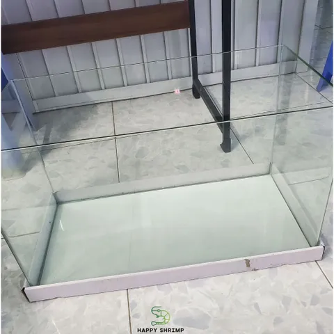Hồ Đúc Uốn Cong Cạnh Kính Siêu Trong - Bể Thủy Sinh, Cá Cảnh, Nuôi Tép Đẹp Mắt, Kích Thước Đa Dạng 30-60cm