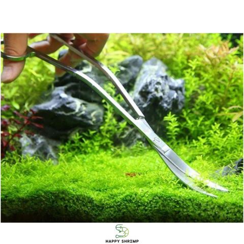 Kéo Cắt Tỉa Cây Thủy Sinh 25cm - Dụng Cụ Chuyên Nghiệp Bằng Thép Không Gỉ để Làm Gọn Hồ Cá