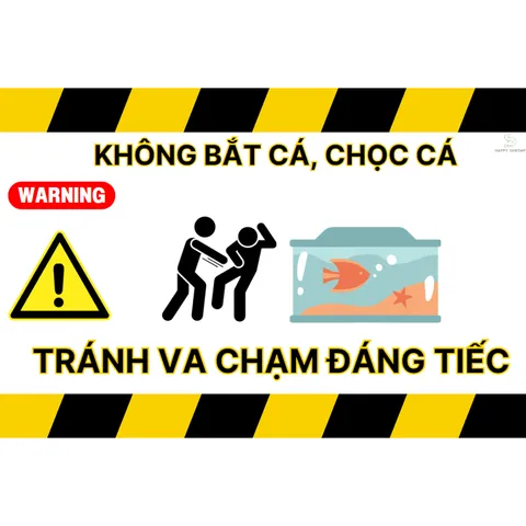 Decal Dán Hồ Cá Cảnh Báo Vui Vẻ 2x3 Inch - Miếng Dán Chống Nước Trang Trí Bể Cá Kiểu Dễ Thương, Chống Bay Màu, Dễ Sử Dụng