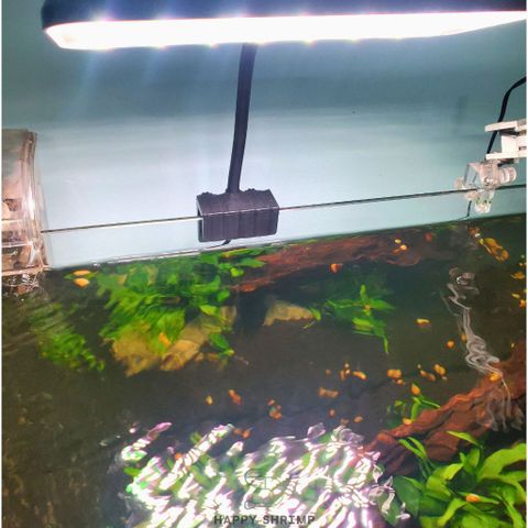 Đèn Thủy Sinh DEYAO CF-02 Đỏ Cá Không Đỏ Nước Công Suất 13W Led: Rgb 3 In 1 | Đèn Deyao CF-02