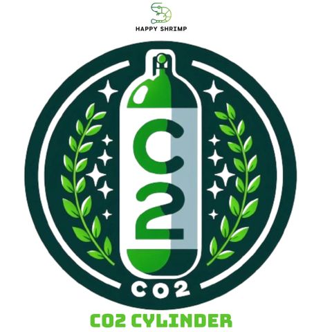 Decal Trong Suốt Chống Nước Dán Bình CO2 12x12cm - Miếng Dán Trang Trí Bền, Sắc Nét và Dễ Dàng Sử Dụng ngoài Trời