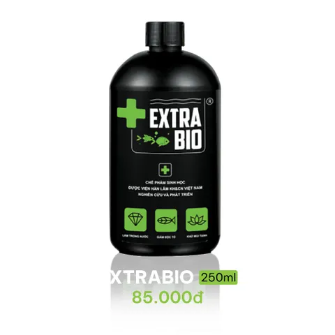 Vi Sinh ExtraBio 125ml/250ml/500ml - Chế Phẩm Sinh Học Cao Cấp Cho Bể Cá Cảnh, Giảm Mùi, Tăng Oxy, An Toàn Cho Cá