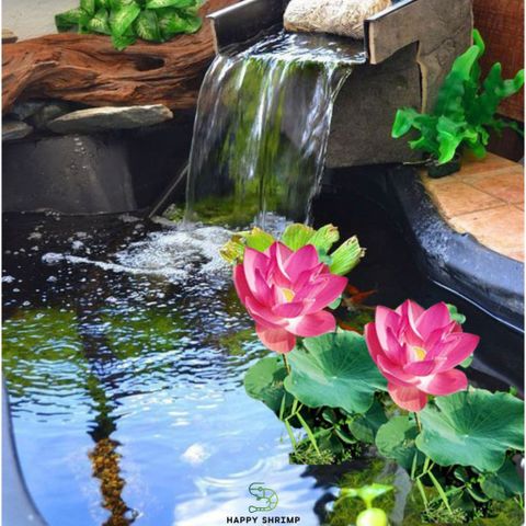 Máy Bơm Chìm Mini 2,5W 3W 4W 5W 8W Có Dây Cắm - Bơm Hồ Cá, Terrarium, Thác Nước An Toàn, Hiệu Quả, Ấm Áp
