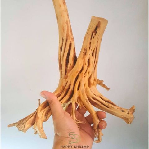 Lũa Hải Sơn Quỳ Trang Trí Hồ Thủy Sinh - Gỗ Chịu Nước Bố Cục Độc Đáo, Sẵn Sàng Sử Dụng cho Hồ Cá Cảnh
