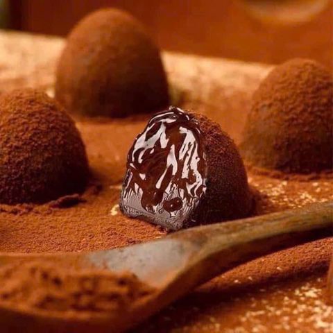 Socola Tươi Truffes Favorina Pháp - Hộp Quà Độc Đáo Gồm 4 Vị Như Nguyên Bản, Hạt Phỉ, Vỏ Cam, Caramel - Món Quà Ngọt Ngào Cuối Năm