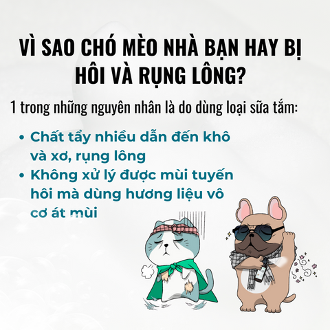 Sữa Tắm Chó Mèo Ecopets 10ml - Dưỡng Lông Mềm Mượt, Khử Mùi Hiệu Quả Lên Đến 2 Tuần Với Nano Bạc An Toàn