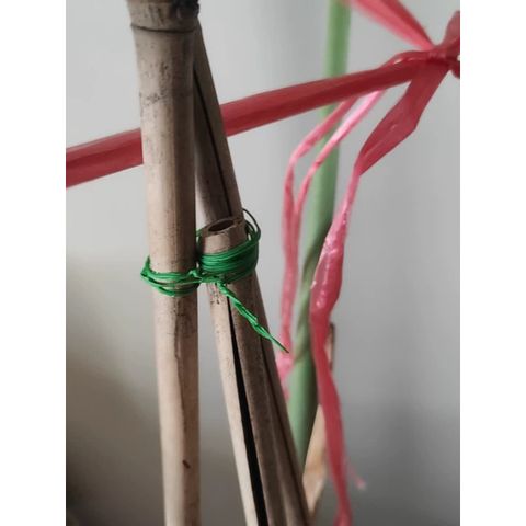 Cuộn dây kẽm bọc nhựa cột cành hoa cây cảnh dây leo định hình buộc gọn dây điện dây cáp tiện dụng