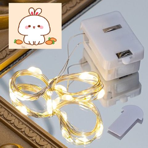 Dây Đèn LED Màu Sắc Ấm Áp - Trang Trí Bó Hoa, Tiệc Tùng, Lễ Hội, Decor Nhà Cửa - Tặng Kèm Pin Nhỏ Gọn