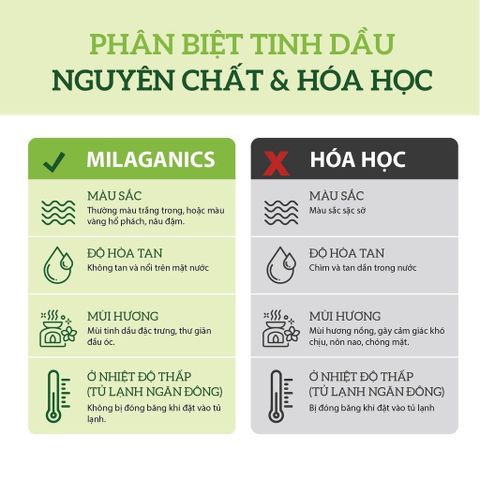 Tinh Dầu Massage Hatoco Thiên Nhiên Nguyên Chất 10ml - Giảm Đau Xương Khớp, Mệt Mỏi, Căng Thẳng, Hỗ Trợ Thư Giãn Tinh Thần