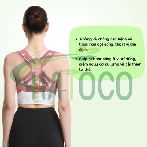 Đai Chống Gù Lưng Hatoco - Đai Bảo Vệ Vòng 1 Support Thể Thao, Cải Thiện Vóc Dáng, Giảm Cơn Đau Lưng, Dành Cho Văn Phòng và Học Sinh