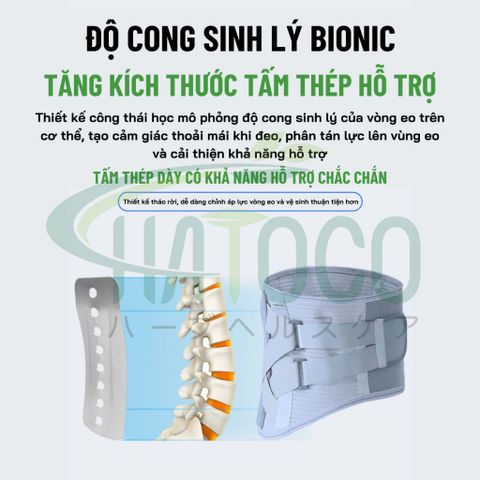 Đai Nẹp Lưng Cột Sống Hatoco Giảm Đau Lưng, Thoát Vị Đĩa Đệm, Thoáng Khí - Hỗ Trợ Cột Sống, Phục Hồi Sau Phẫu Thuật, Nhiều Kích Cỡ
