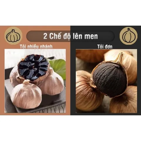 Máy làm tỏi đen Nikio NK-696 - Thiết bị làm tỏi đen công nghệ Nhật Bản, dung tích 6L, sản xuất 2kg tỏi, màu bạc sang trọng