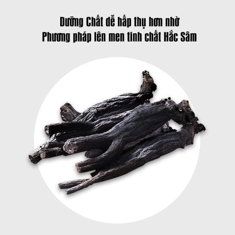 Cao Hắc Sâm Hoa Chuông Đen Cửu Chưng Cửu Sái 500gr - Bổ Sung Năng Lượng, Tăng Cường Miễn Dịch và Cải Thiện Sức Khỏe Người Cao Tuổi
