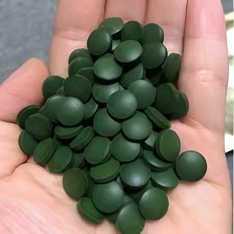 Tảo Viên Nuôi Artemia Sinh Khối - Thức Ăn Bổ Sung Dinh Dưỡng Cho Cá Tép Cảnh, Tăng Sức Đề Kháng, Kích Thích Màu Sắc