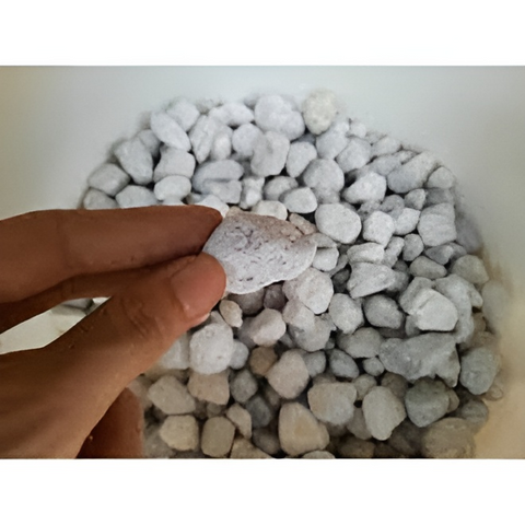 Vật liệu lọc Matrix Seachem 100g/1L - Lọc nước bể cá hiệu quả, khử amonia, nitrat, nitrit, chất lượng cao cho thủy sinh