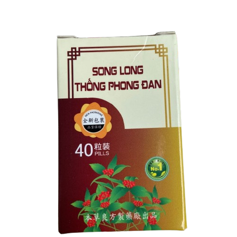 Viên uống hỗ trợ đau nhức xương khớp Song Long Thống Phong Đan - 40 viên, ngăn ngừa loãng xương và thoái hóa xương