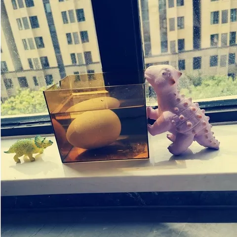 Trứng khủng long thần kỳ ngâm nước tự nở Go Dinosaur - Cỡ lớn - Kích thích sự tò mò cho trẻ - thegioidochoi1104