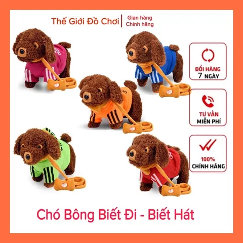 Chó bông biết đi nhiều bài hát TpHCM