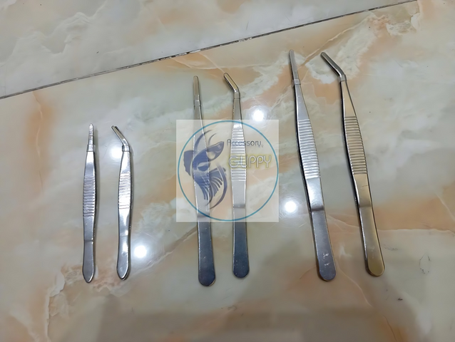 Bộ Nhíp Thủy Sinh Thẳng và Cong - Dụng Cụ Trồng Cây Hồ Cá, Kích Thước 10-16cm, Chất Liệu Thép Không Gỉ