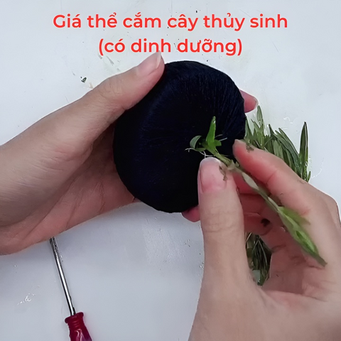 Giá Thể Quấn Len Dinh Dưỡng - Giá Thể Trồng Cây Thủy Sinh Cho Hồ Cá Cảnh, Kích Thước 5cm và 7cm