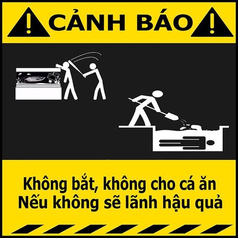 Decal Cảnh Báo Vui Nhộn Dán Hồ Cá Cảnh - Chất Liệu Nhựa, Tăng Tính An Toàn và Giải Trí Cho Hồ Cá