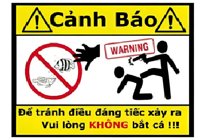 Decal Cảnh Báo Vui Nhộn Dán Hồ Cá Cảnh - Chất Liệu Nhựa, Tăng Tính An Toàn và Giải Trí Cho Hồ Cá