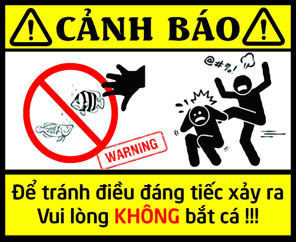 Decal Cảnh Báo Vui Nhộn Dán Hồ Cá Cảnh - Chất Liệu Nhựa, Tăng Tính An Toàn và Giải Trí Cho Hồ Cá
