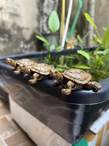 Tiểu Cảnh Rùa Bán Cạn Đá Trang Trí Bể Cá - Phụ Kiện Hồ Cá Thân Thiện, Có Thể Cấy Cây Thủy Sinh
