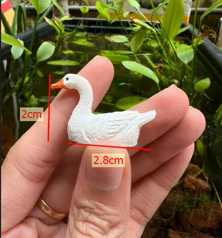 Mô Hình Vịt Trắng Mini - Tiểu Cảnh Trang Trí Bể Cá Cảnh, Đồ Chơi Nhựa An Toàn Dài Lâu