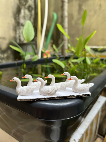 Mô Hình Vịt Trắng Mini - Tiểu Cảnh Trang Trí Bể Cá Cảnh, Đồ Chơi Nhựa An Toàn Dài Lâu