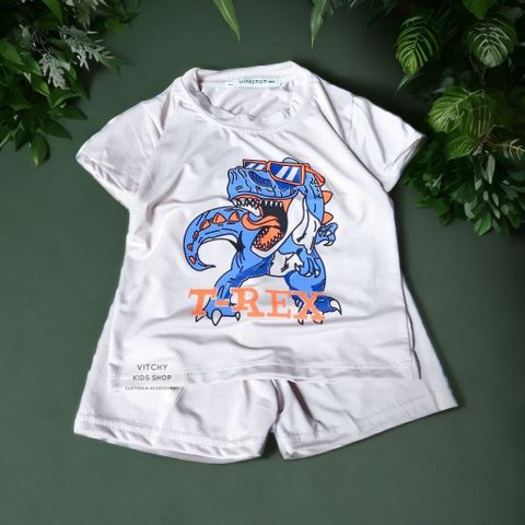 Bộ quần áo thun mềm co giãn 4 chiều họa tiết Khủng long T-Rex nhiều màu tay ngắn cho bé