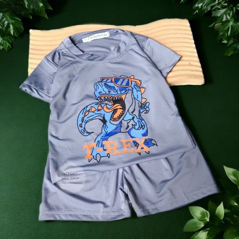 Bộ quần áo thun mềm co giãn 4 chiều họa tiết Khủng long T-Rex nhiều màu tay ngắn cho bé