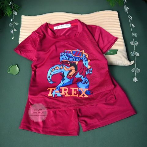 Bộ quần áo thun mềm co giãn 4 chiều họa tiết Khủng long T-Rex nhiều màu tay ngắn cho bé
