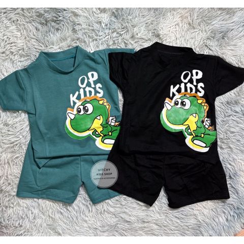 Bộ quần áo tay ngắn hoạ tiết Khủng long chất đũi nhiều màu cho bé từ 7kg-26kg