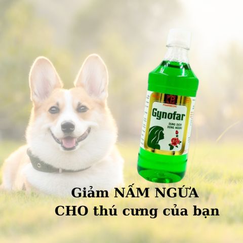 Dung Dịch Vệ Sinh Phụ Nữ Gynofar 250ml - 500ml, Cân Bằng pH, Giảm Kích Ứng, Chiết Xuất Tự Nhiên, An Toàn Cho Phụ Nữ Mọi Lứa Tuổi