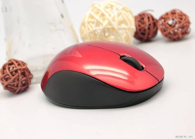 Chuột Không Dây Born C113 - Chuột Ergonomic Nhỏ Gọn Tương Thích Laptop, PC, Smart TV - Kết Nối Không Dây 10m, Độ Phân Giải 1600dpi
