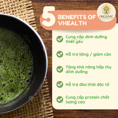 Bột Dinh Dưỡng Vhealth Matcha Hộp 20 Gói - Giúp Tăng/ Giảm Cân Tự Nhiên, Bữa Ăn Nhanh Gọn, Dinh Dưỡng Thiết Yếu