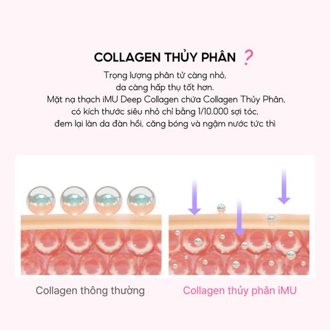 Combo Chống Lão Hóa IMU Deep Collagen - Mặt Nạ Thạch & Kem Dưỡng Mắt Giảm Nếp Nhăn, Dưỡng Ẩm Sáng Mịn Da