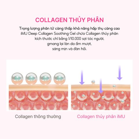 Bộ sản phẩm cấp ẩm iMU Deep Collagen - Gel dưỡng ẩm 100ml & Hộp mặt nạ Jelly Pack 4 miếng - Giải pháp tức thì cho da khô, lão hóa