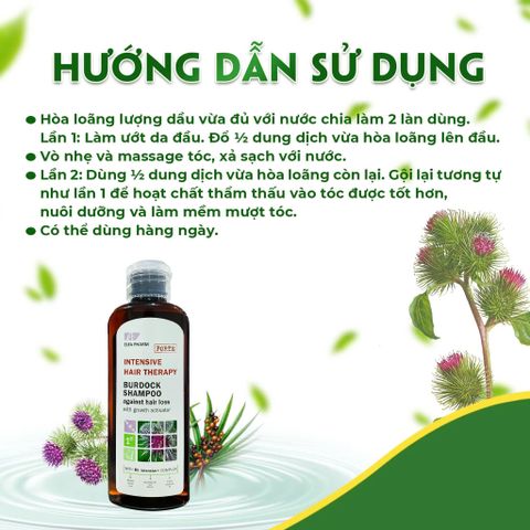 Dầu Gội Chống Rụng Tóc Elfa Pharm 200ml - Chiết Xuất Ngưu Bàng Giúp Kích Thích Mọc Tóc Chắc Khỏe Từ Thực Vật Quý