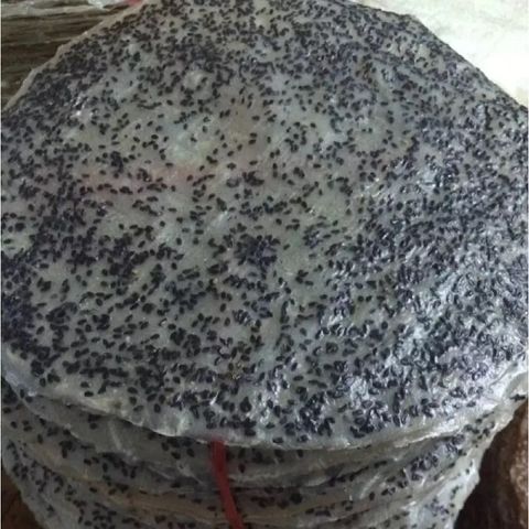 50 Cái Bánh Tráng Mè Đen Nước Cốt Dừa - Đặc Sản Tây Ninh Thơm Ngon Dinh Dưỡng Cho Mọi Lứa Tuổi