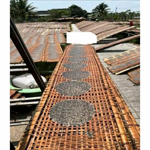 50 Cái Bánh Tráng Mè Đen Nước Cốt Dừa - Đặc Sản Tây Ninh Thơm Ngon Dinh Dưỡng Cho Mọi Lứa Tuổi