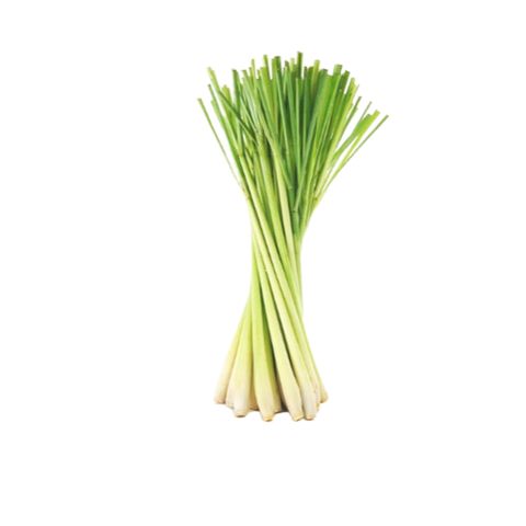 Sả Cây Tươi 1 Kg Trồng Tại Nhà - Gia Vị Nấu Ăn Thơm Ngon Chỉ Giao TPHCM