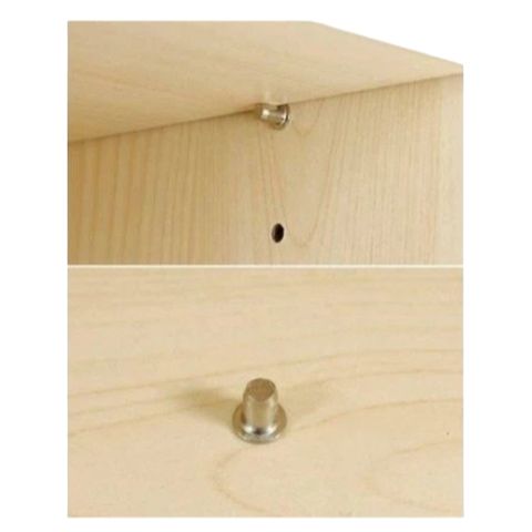Chốt Đỡ Kệ Sắt Inox - Bộ 100 Chiếc Chất Liệu Kim Loại Ổn Định, Dùng Phân Tầng Kệ Gỗ Tiện Ích