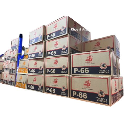 Keo dán đa năng rồng vàng P-66 25g 100gram 200 gram  600 gram 3kg