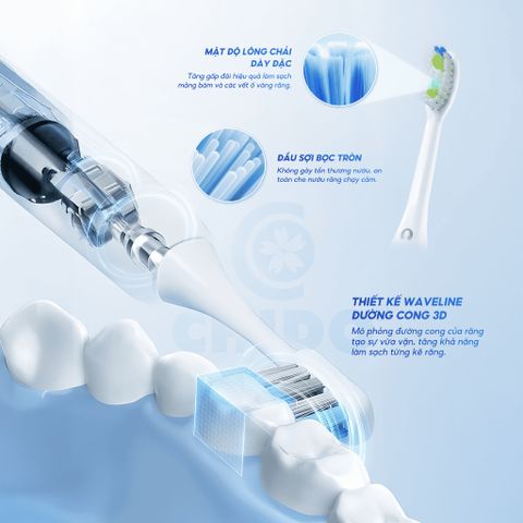 Bàn Chải Điện Chido CDSmile Công Nghệ Sóng Siêu Âm - Sạch Mảng Bám, Phù Hợp Với Răng Nhạy Cảm & Răng Niềng, Tích Hợp 4 Chế Độ Ủng Hộ Sử Dụng 60 Ngày