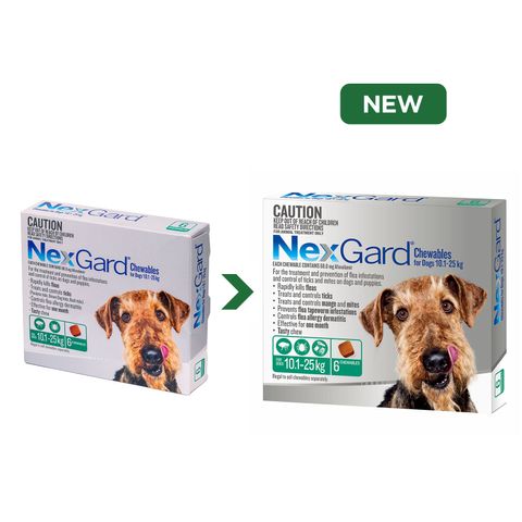Viên Nhai NexGard Spectra Loại Bỏ Ve, Ghẻ, Bọ Chét Cho Chó 10-50kg - Giải Pháp Bảo Vệ Sức Khỏe Thú Cưng Hiệu Quả