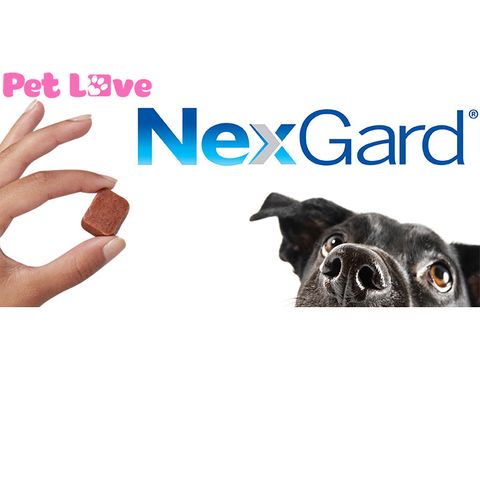 Viên Nhai NexGard Spectra Loại Bỏ Ve, Ghẻ, Bọ Chét Cho Chó 10-50kg - Giải Pháp Bảo Vệ Sức Khỏe Thú Cưng Hiệu Quả