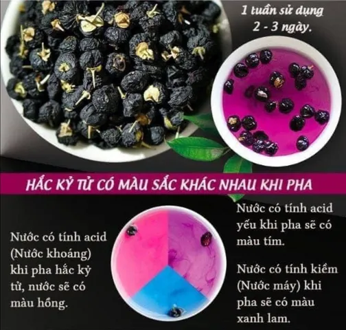 Hắc Kỷ Tử Mỹ Suncore Food - Hoa Quả Sấy Khô Black Goji Berries Hộp 454G - Tăng Cường Miễn Dịch, Cải Thiện Thị Lực